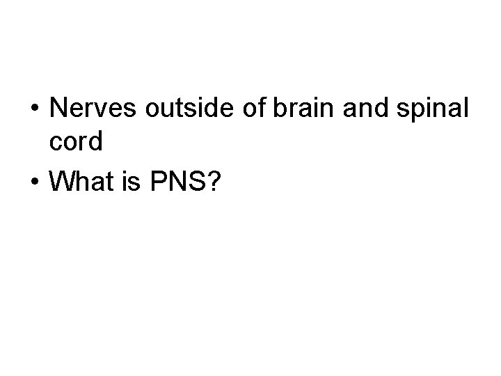  • Nerves outside of brain and spinal cord • What is PNS? 