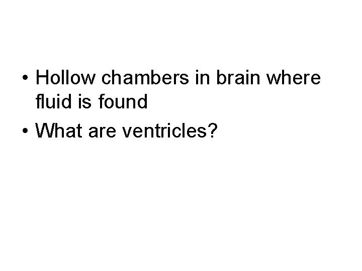  • Hollow chambers in brain where fluid is found • What are ventricles?