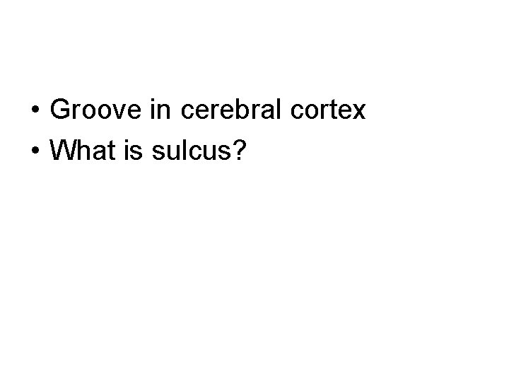  • Groove in cerebral cortex • What is sulcus? 