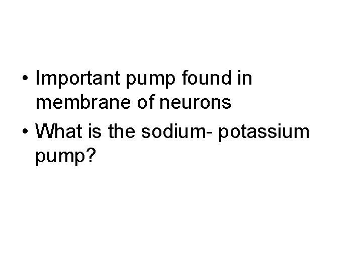  • Important pump found in membrane of neurons • What is the sodium-