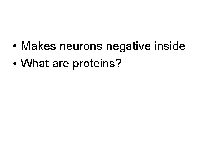  • Makes neurons negative inside • What are proteins? 