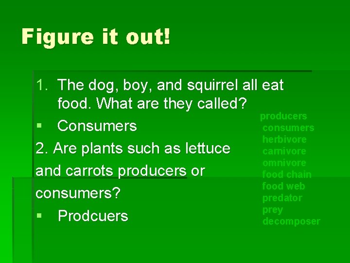 Figure it out! 1. The dog, boy, and squirrel all eat food. What are