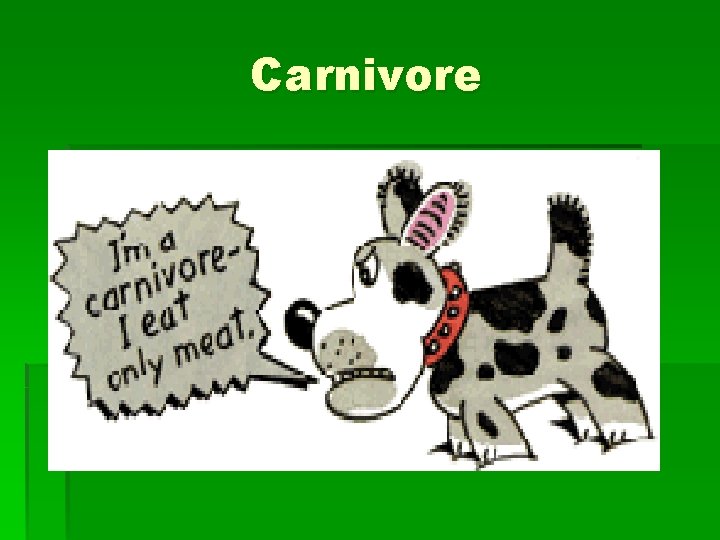 Carnivore 