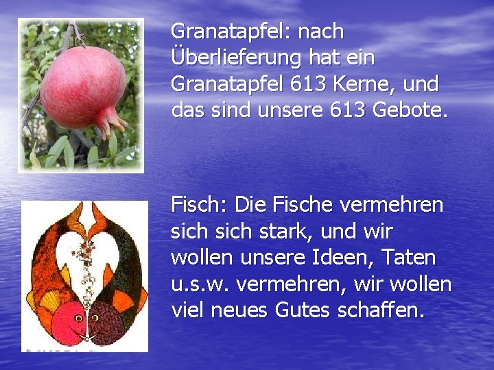 Granatapfel: nach Überlieferung hat ein Granatapfel 613 Kerne, und das sind unsere 613 Gebote.