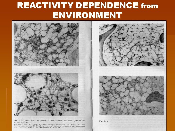 REACTIVITY DEPENDENCE from ENVIRONMENT 