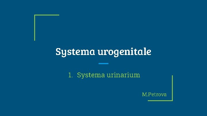 Systema urogenitale 1. Systema urinarium M. Petrova 