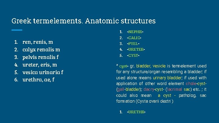 Greek termelements. Anatomic structures 1. 2. 3. 4. 5. 6. ren, renis, m calyx