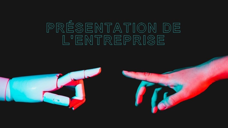 PRÉSENTATION DE L'ENTREPRISE 