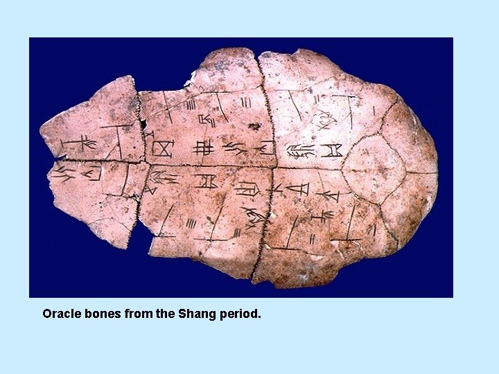 Oracle bones from the Shang period. 