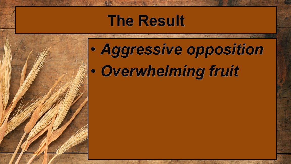 The Result • Aggressive opposition • Overwhelming fruit 