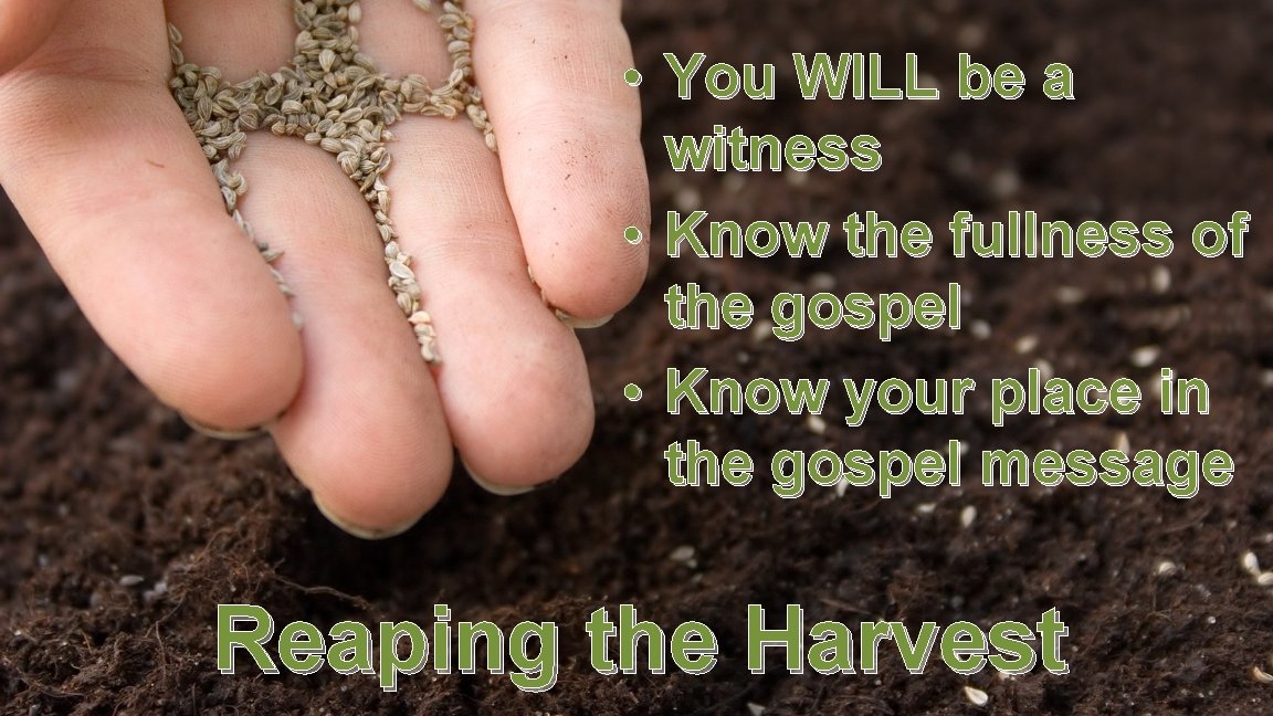  • You WILL be a witness • Know the fullness of the gospel