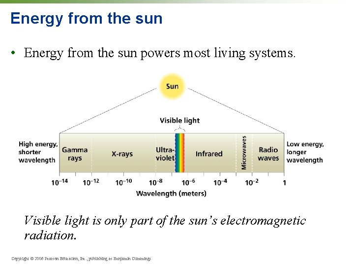 Energy from the sun • Energy from the sun powers most living systems. Visible