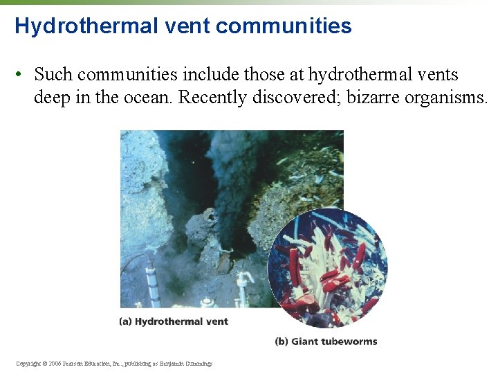 Hydrothermal vent communities • Such communities include those at hydrothermal vents deep in the