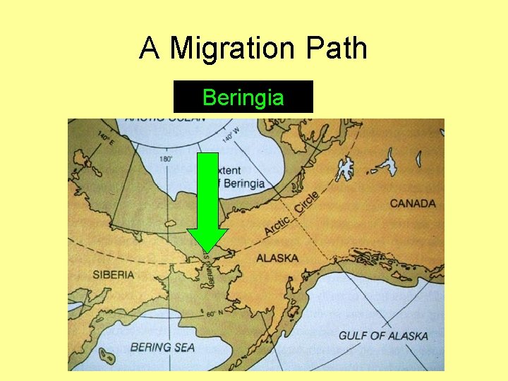 A Migration Path Beringia 