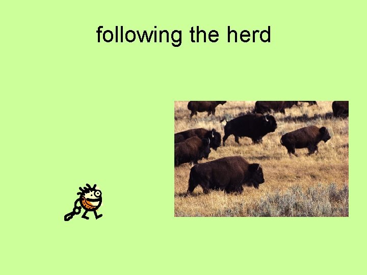 following the herd 