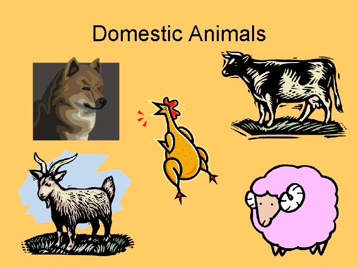 Domestic Animals 