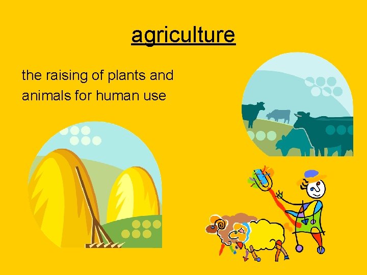 agriculture the raising of plants and animals for human use 