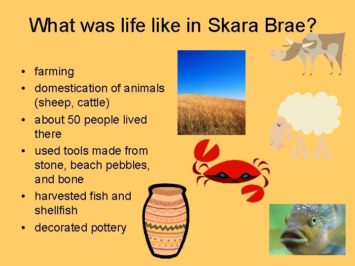 What was life like in Skara Brae? • farming • domestication of animals (sheep,