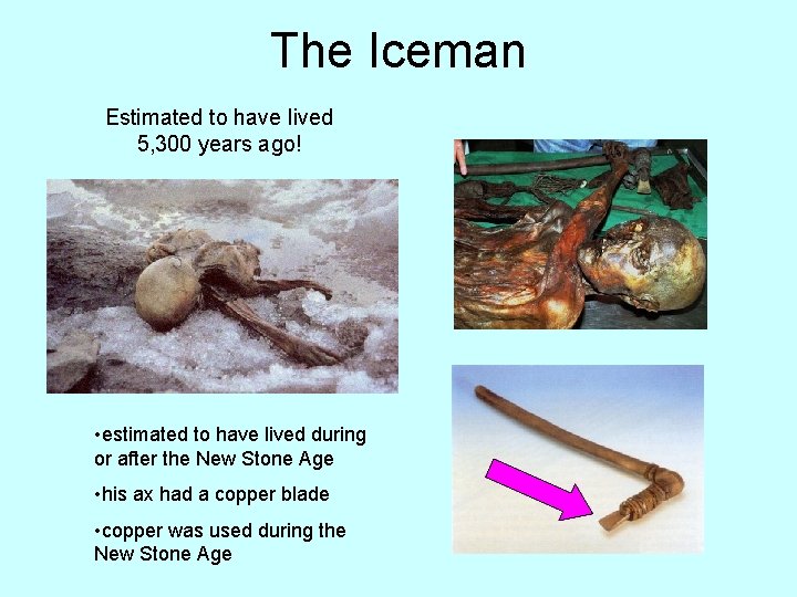 The Iceman Estimated to have lived 5, 300 years ago! • estimated to have