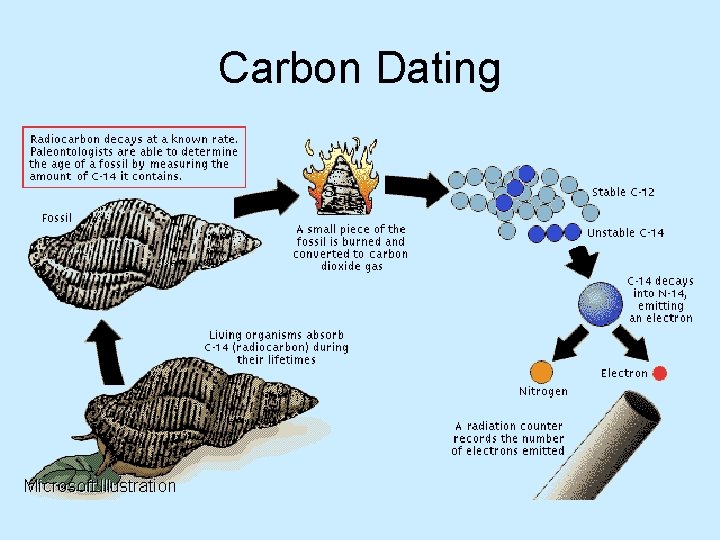 Carbon Dating 