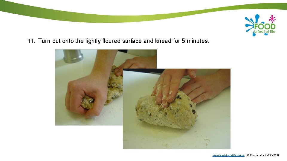 11. Turn out onto the lightly floured surface and knead for 5 minutes. www.