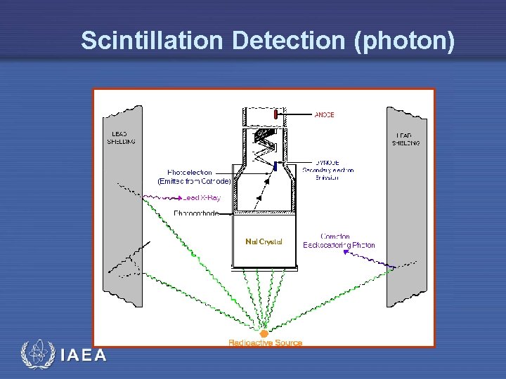 Scintillation Detection (photon) IAEA 