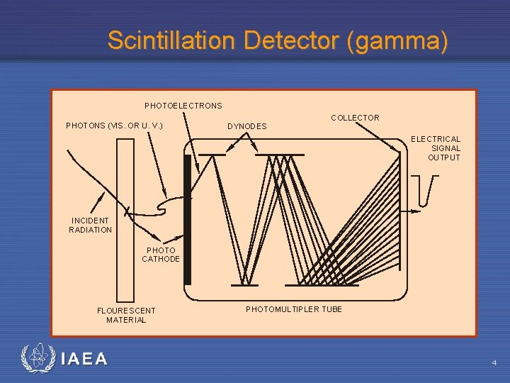 Scintillation Detector (gamma) PHOTOELECTRONS PHOTONS (VIS. OR U. V. ) DYNODES COLLECTOR ELECTRICAL SIGNAL