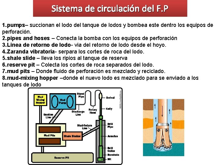 Sistema de circulación del F. P 1. pumps– succionan el lodo del tanque de