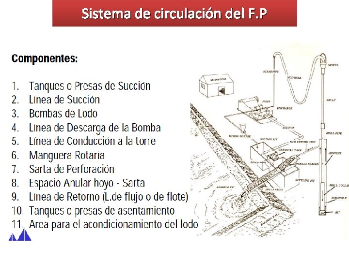 Sistema de circulación del F. P 