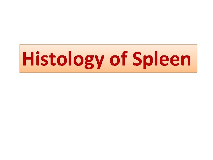 Histology of Spleen 