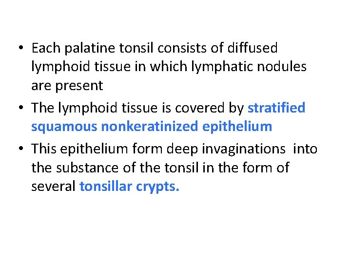  • Each palatine tonsil consists of diffused lymphoid tissue in which lymphatic nodules