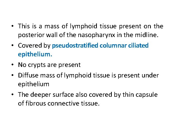  • This is a mass of lymphoid tissue present on the posterior wall