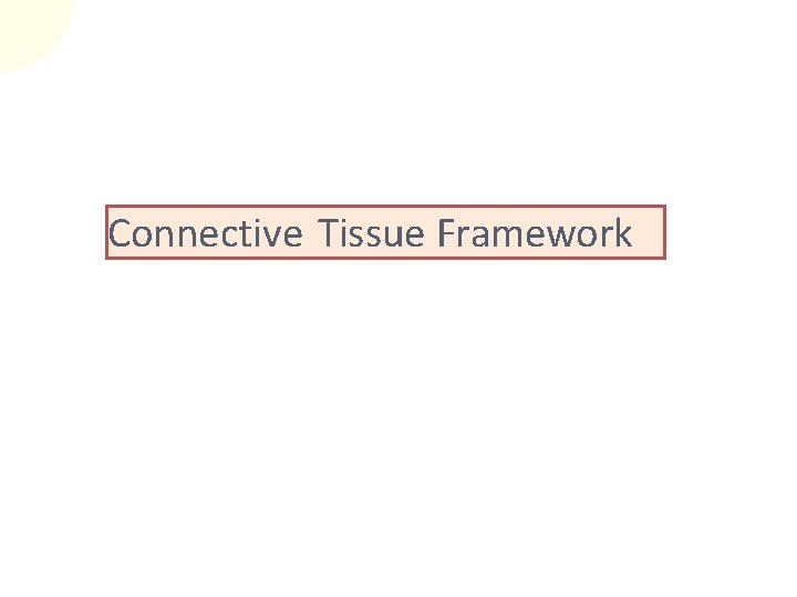 Connective Tissue Framework 