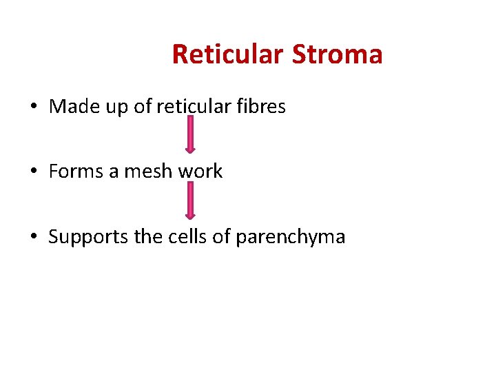 Reticular Stroma • Made up of reticular fibres • Forms a mesh work •