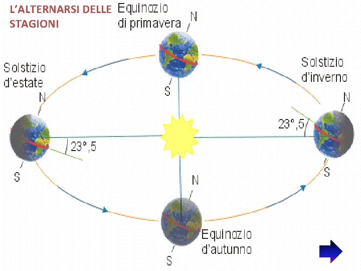 L’ALTERNARSI DELLE STAGIONI 