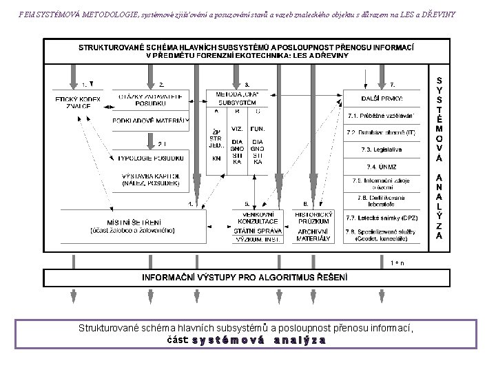 FEld SYSTÉMOVÁ METODOLOGIE, systémové zjišťování a posuzování stavů a vazeb znaleckého objektu s důrazem