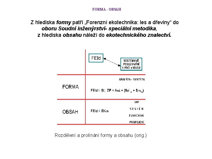FORMA - OBSAH Z hlediska formy patří „Forenzní ekotechnika: les a dřeviny“ do oboru