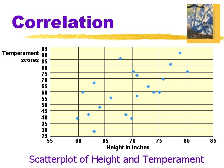 Correlation 95 Temperament 90 scores 85 80 75 70 65 60 55 50 45