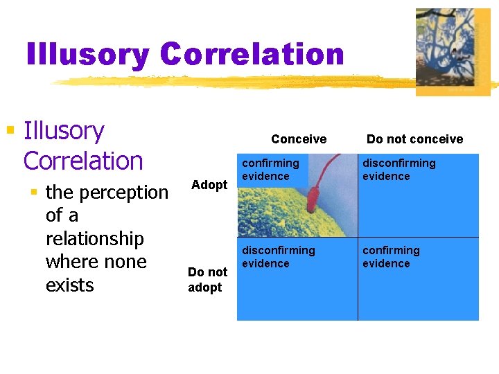 Illusory Correlation § the perception of a relationship where none exists Conceive Adopt Do