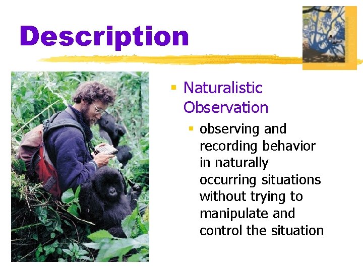 Description § Naturalistic Observation § observing and recording behavior in naturally occurring situations without