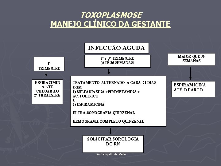 TOXOPLASMOSE MANEJO CLÍNICO DA GESTANTE INFECÇÃO AGUDA 1º TRIMESTRE ESPIRACIMIN A ATÉ CHEGAR AO