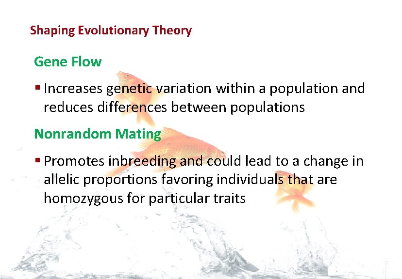 Evolution Shaping Evolutionary Theory Gene Flow § Increases genetic variation within a population and