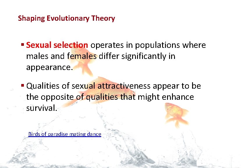 Evolution Shaping Evolutionary Theory § Sexual selection operates in populations where males and females