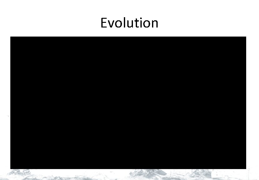 Evolution 