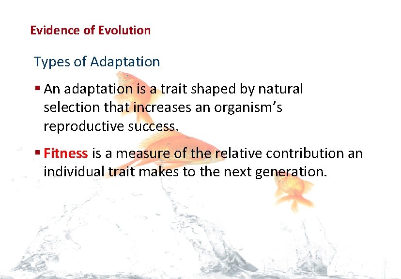 Evolution Evidence of Evolution Types of Adaptation § An adaptation is a trait shaped