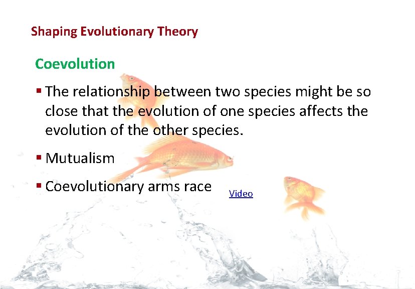 Evolution Shaping Evolutionary Theory Coevolution § The relationship between two species might be so