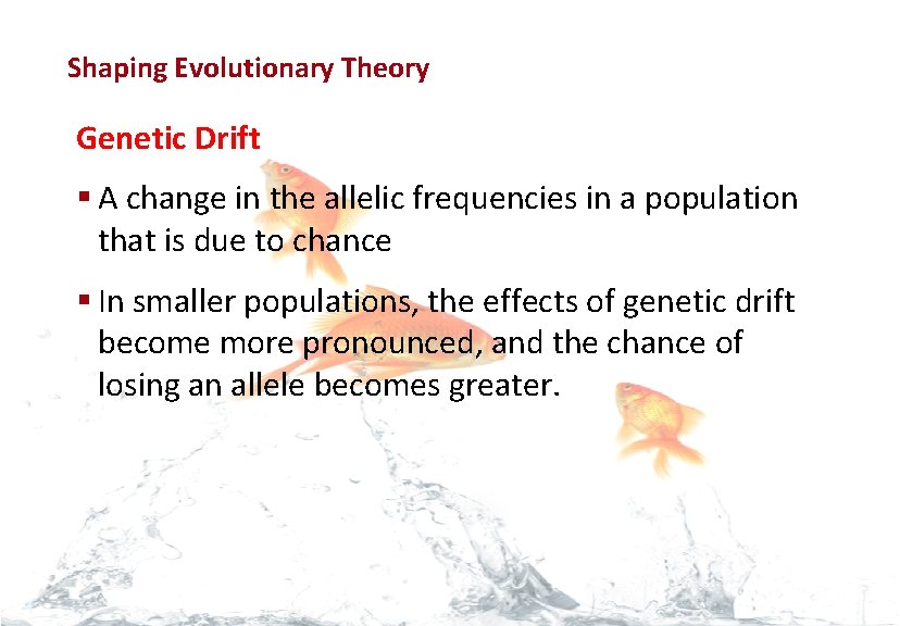 Evolution Shaping Evolutionary Theory Genetic Drift § A change in the allelic frequencies in