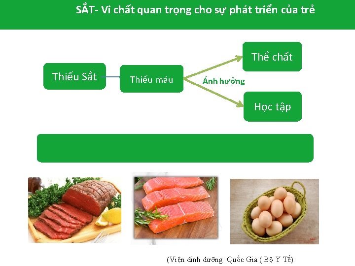 SẮT- Vi chất quan trọng cho sự phát triển của trẻ Thể chất Thiếu