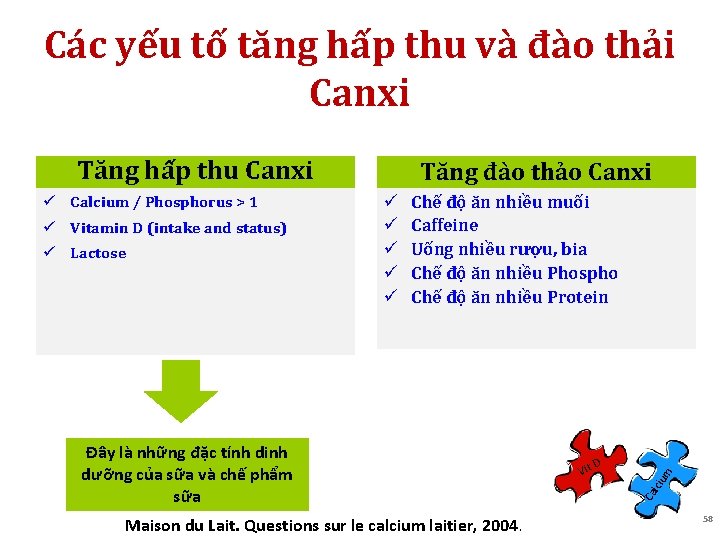 Các yếu tố tăng hấp thu và đào thải Canxi Tăng hấp thu Canxi
