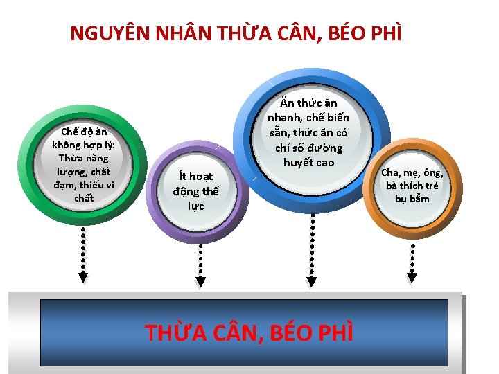 NGUYÊN NH N THỪA C N, BÉO PHÌ Chế độ ăn không hợp lý: